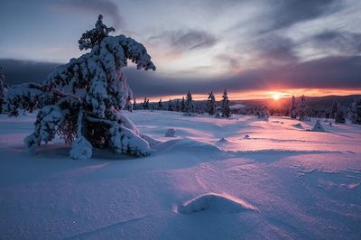 the sun is setting over a snowy landscape