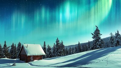 a cabin in the middle of a snowy field