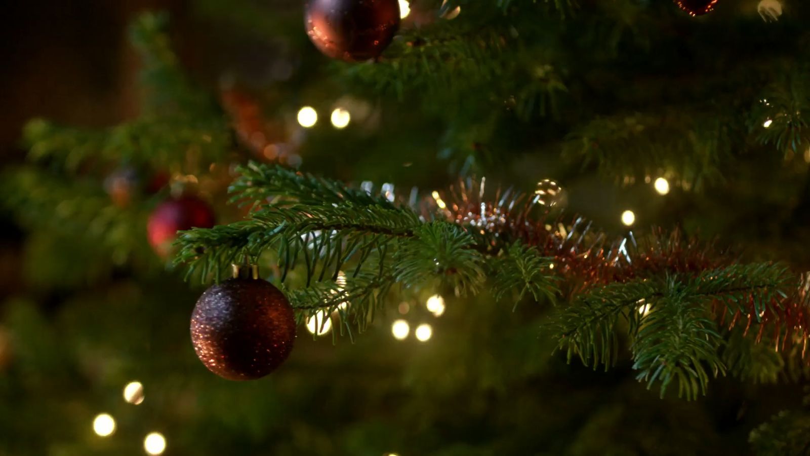 a close up of a christmas tree with lights