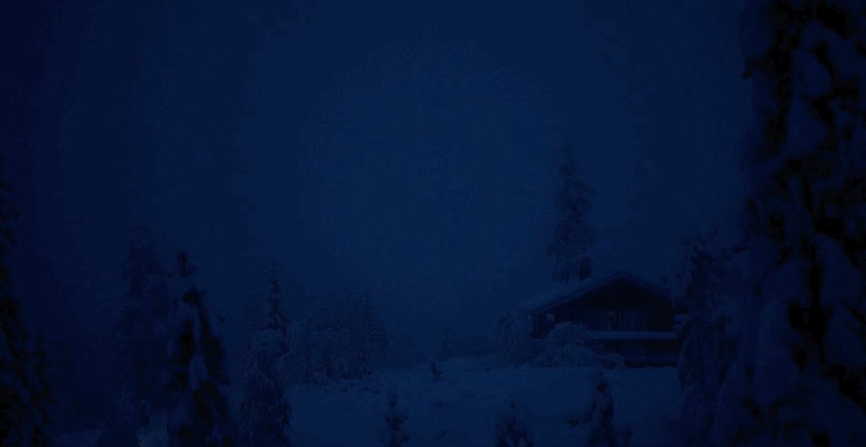 a snow covered forest with a cabin in the distance