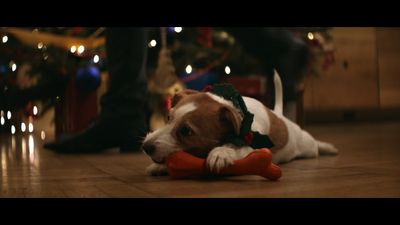 a dog laying on the floor with a toy