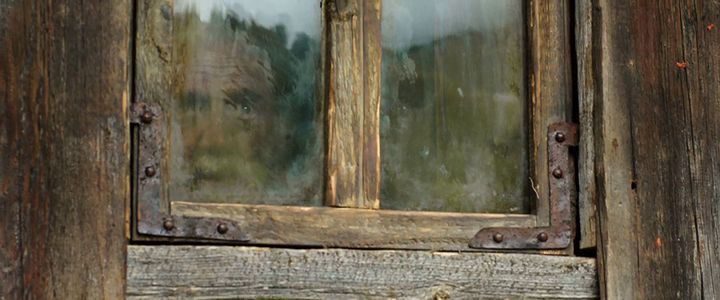 a cat sitting in front of a wooden door