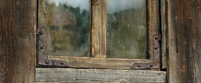 a cat sitting in front of a wooden door