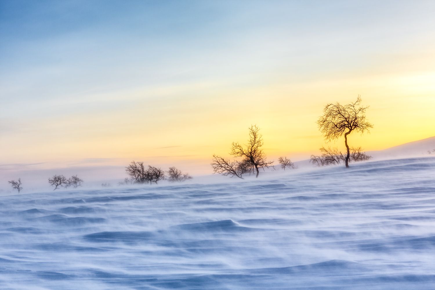 a snow covered field with trees in the distance