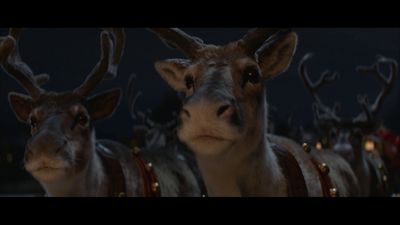 a group of reindeers standing next to each other