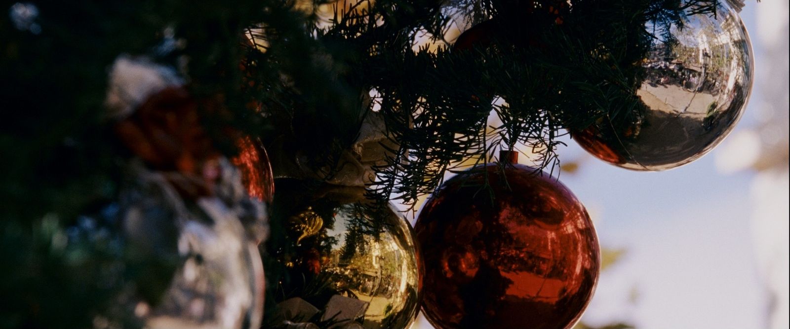 a bunch of ornaments hanging from a tree