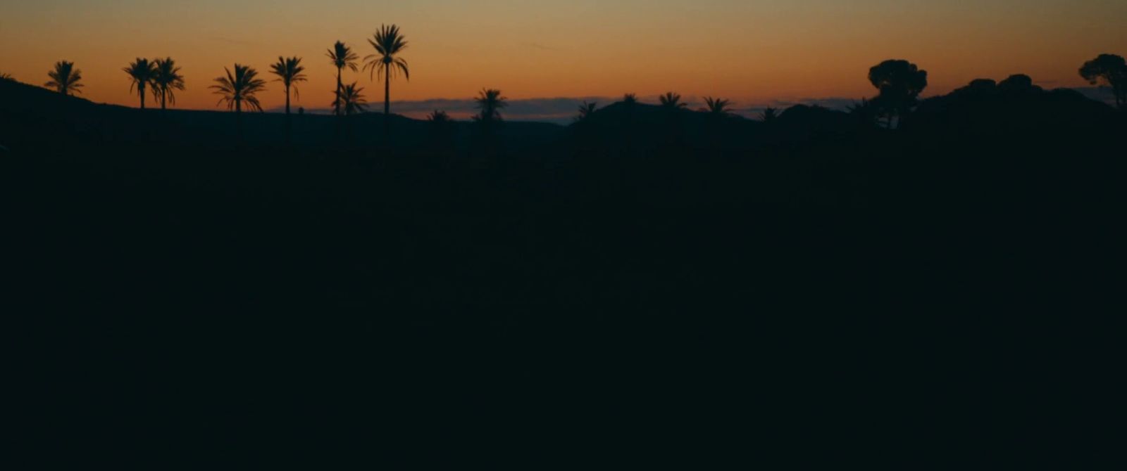 a silhouette of palm trees against a sunset