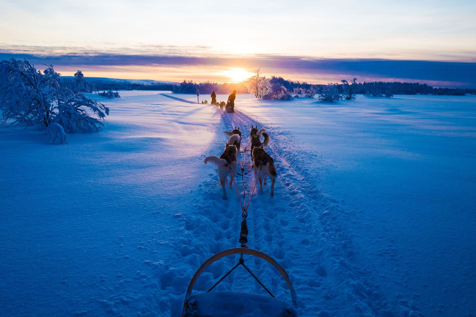 a group of people riding on the back of a sled pulled by dogs