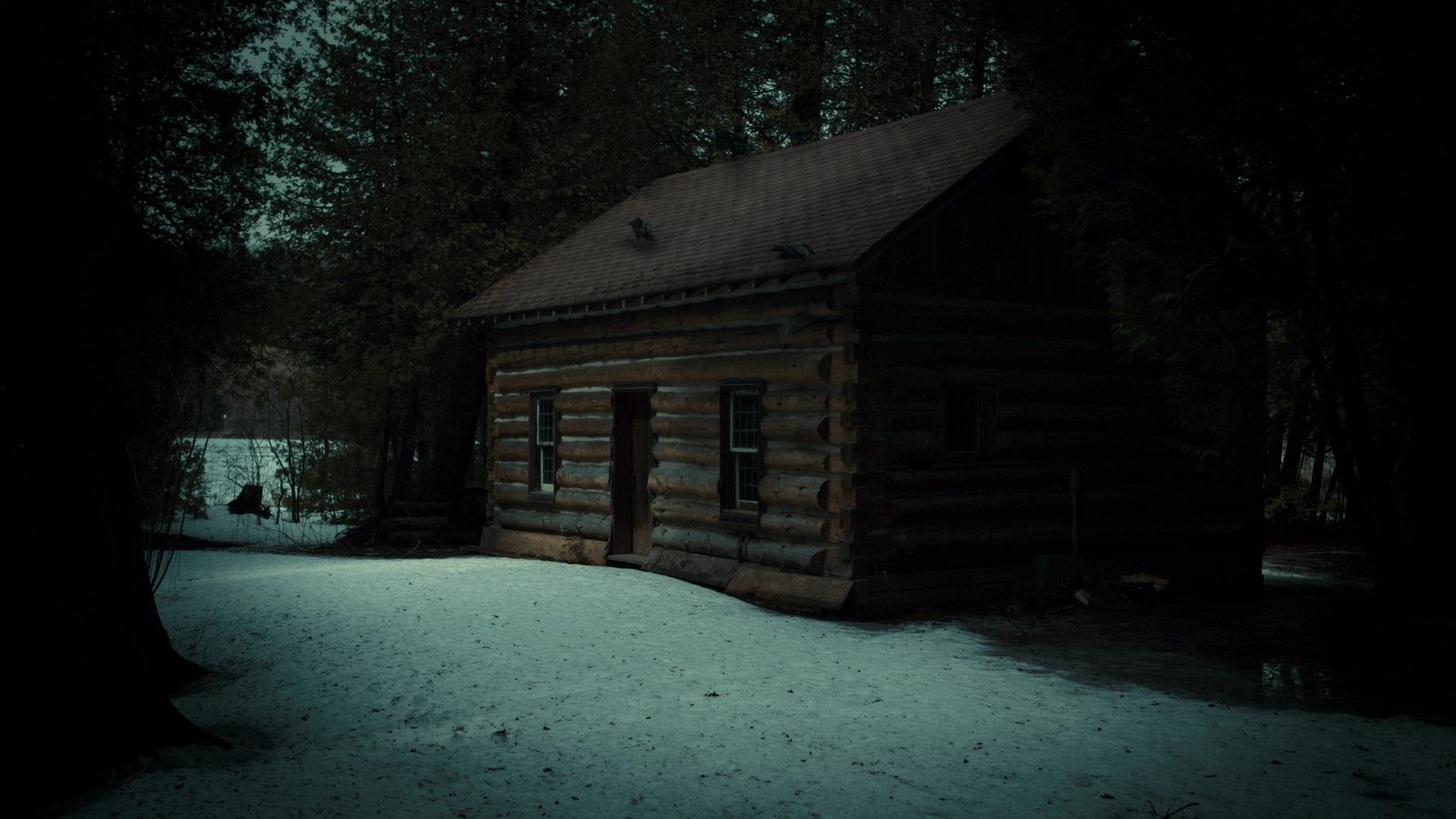 a small log cabin in the woods at night