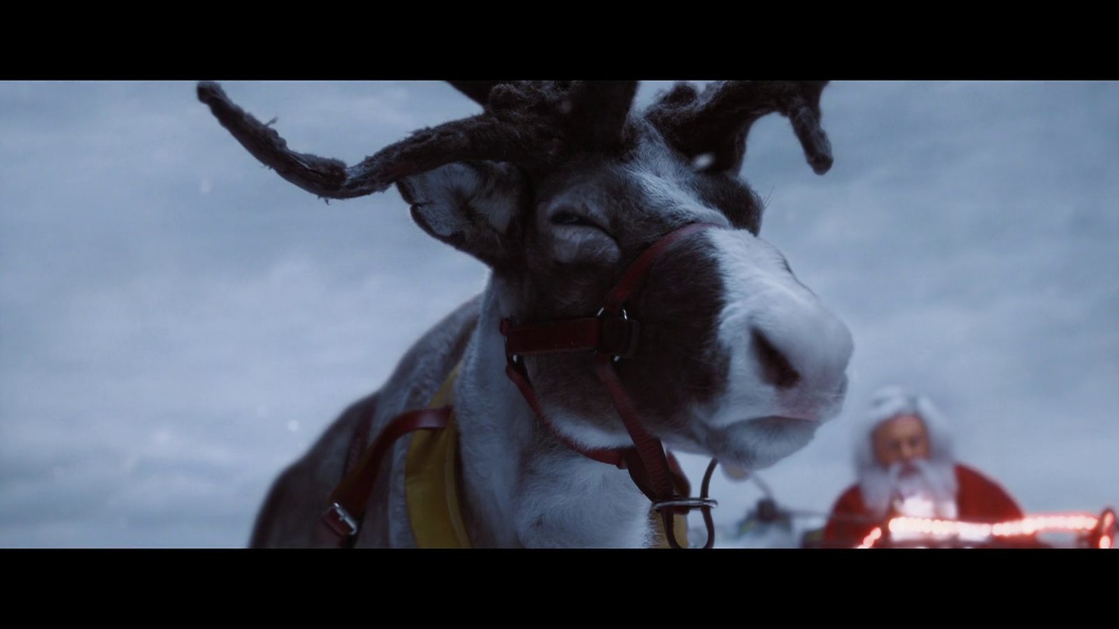 a close up of a reindeer with a person in the background