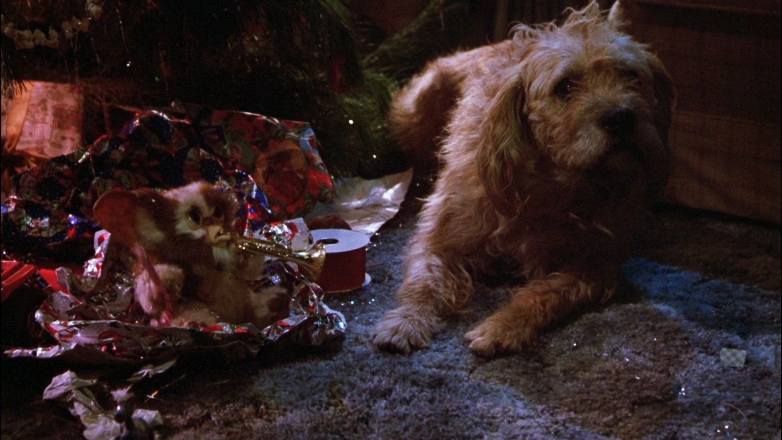 a brown dog laying on top of a carpet next to a christmas tree