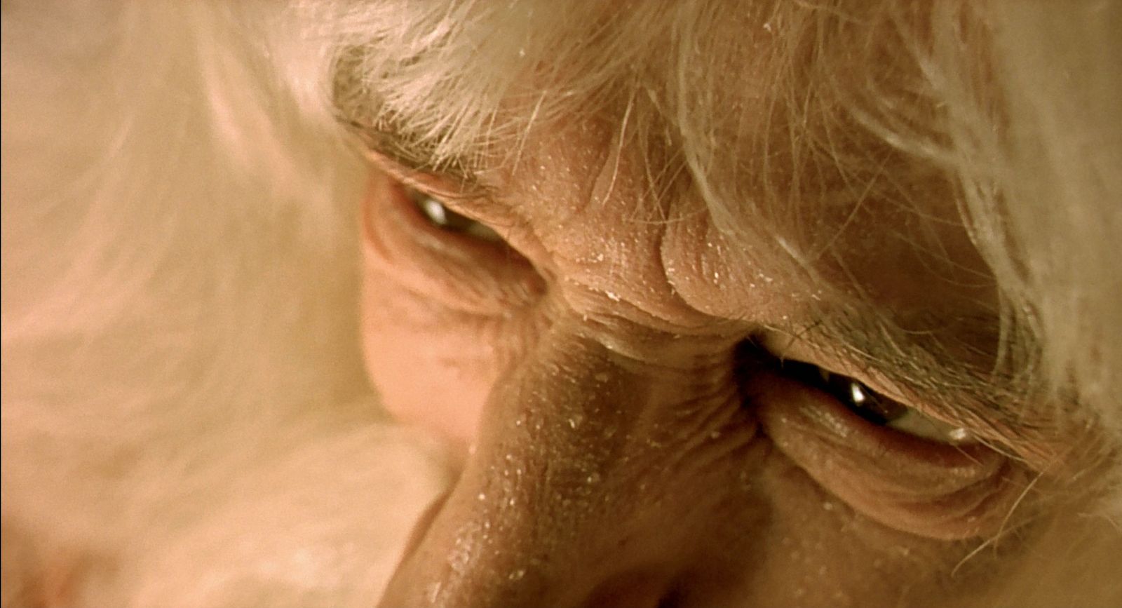 a close up of a person's face with white hair