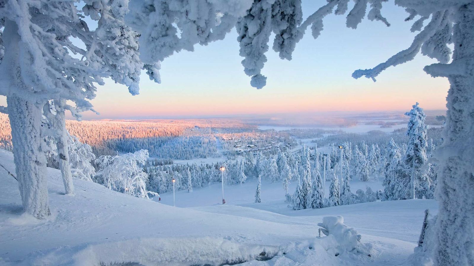 a view of a snowy mountain with trees in the foreground