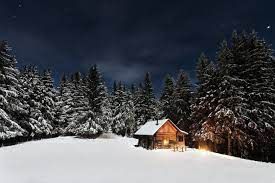 a cabin in the middle of a snowy forest