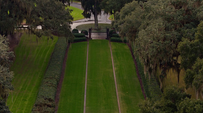 an aerial view of a lush green park