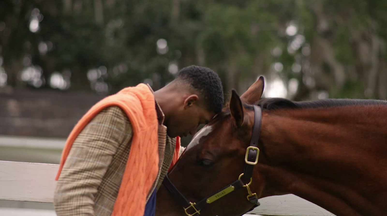 a man in an orange vest petting a brown horse