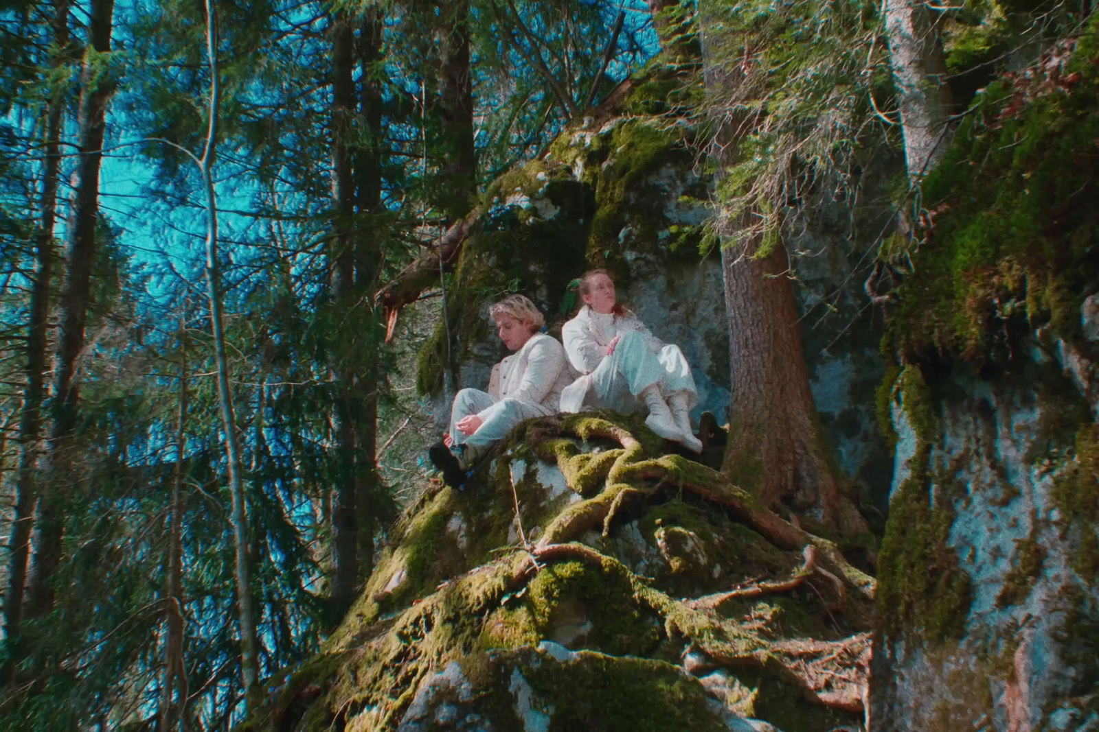 two people sitting on a mossy tree in the woods