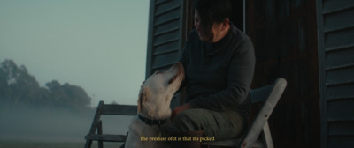 a person sitting on a chair with a dog