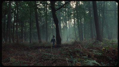 a person standing in the middle of a forest