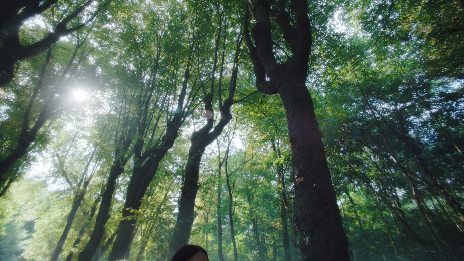 a woman standing in the middle of a forest