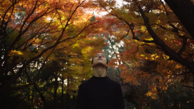 a man standing in front of a forest filled with trees