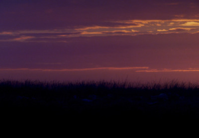 a person standing in a field at sunset