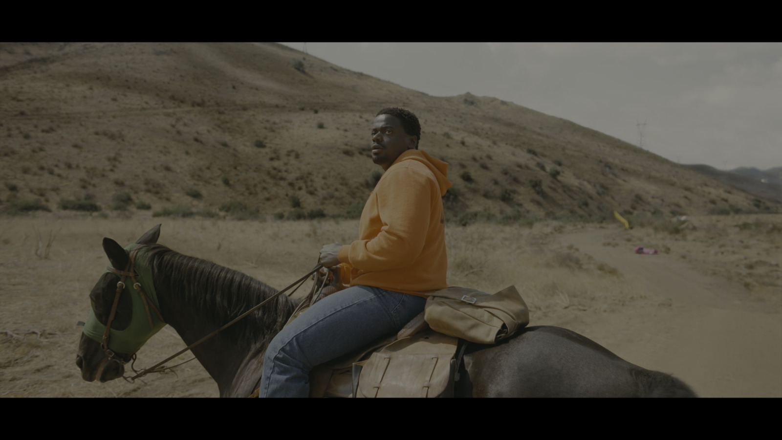 a man riding on the back of a brown horse