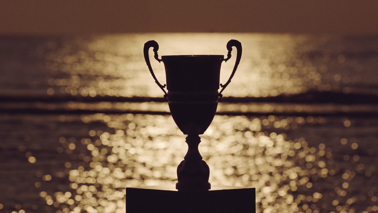 a trophy sitting on top of a metal pole