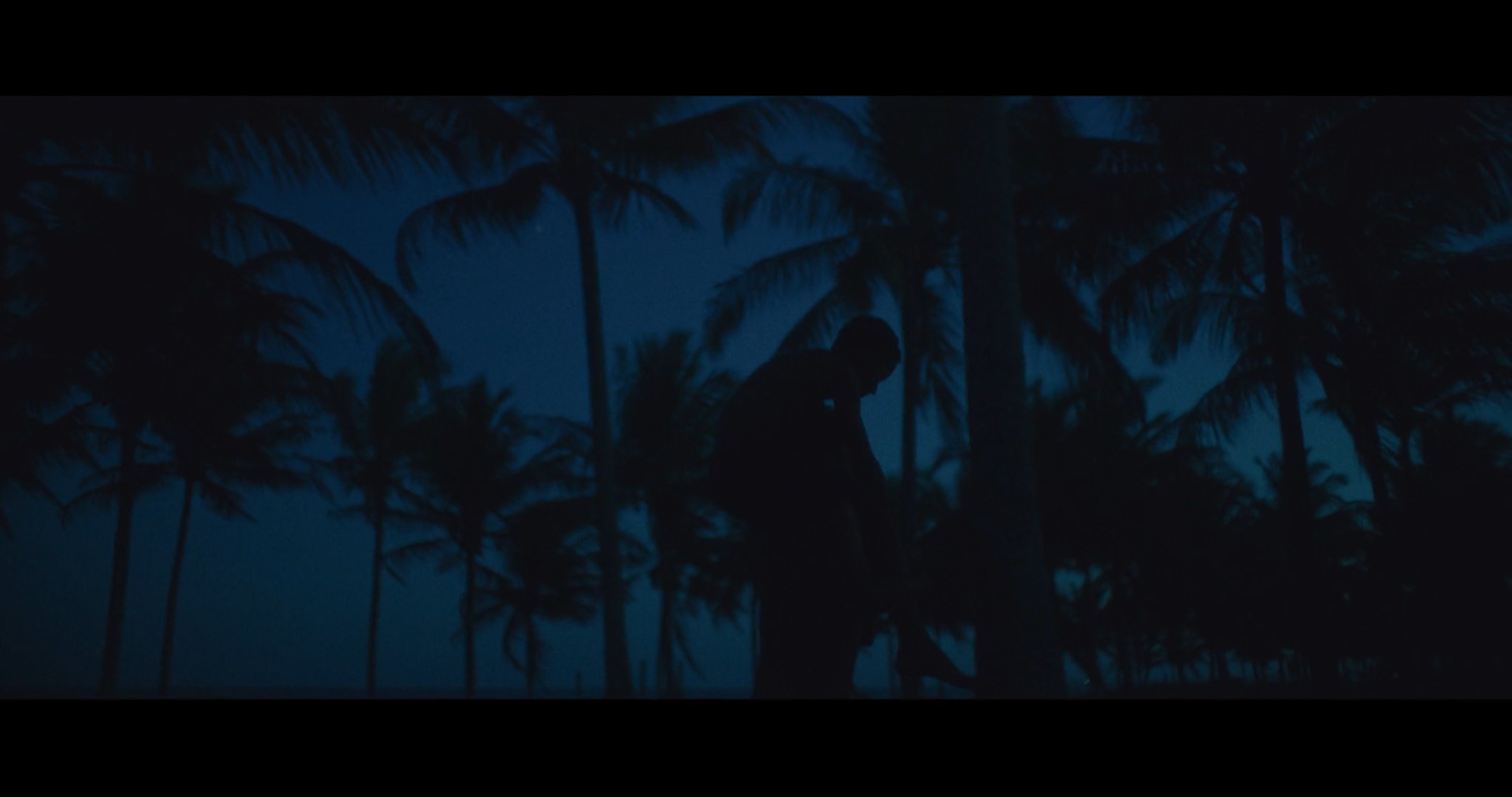 a man standing in front of palm trees at night