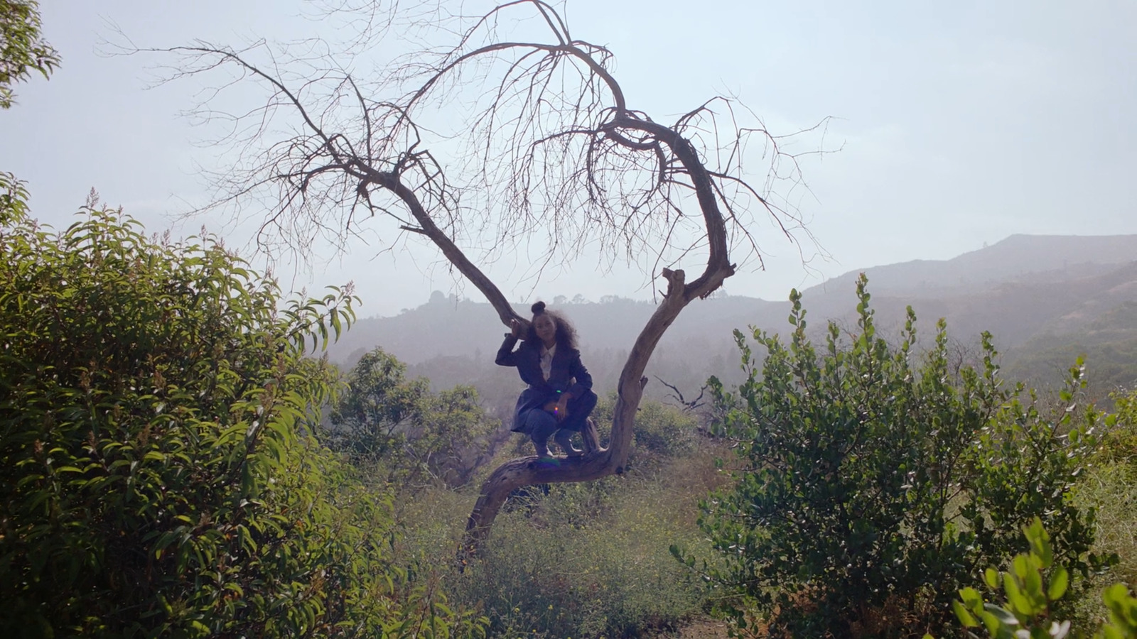 a couple of people sitting on top of a tree