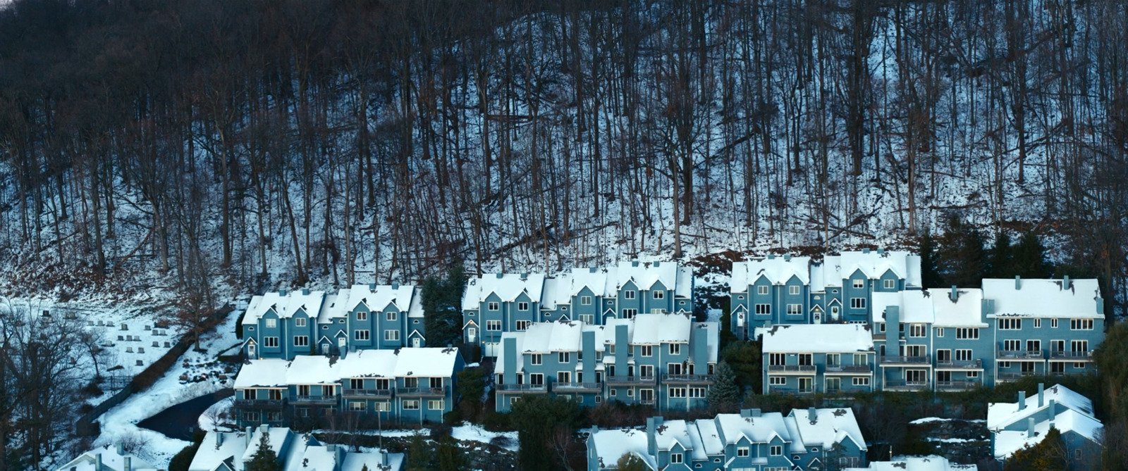 a large group of houses covered in snow