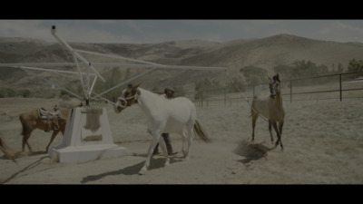 a group of horses in a field with mountains in the background