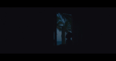 a palm tree is seen through a window in the dark