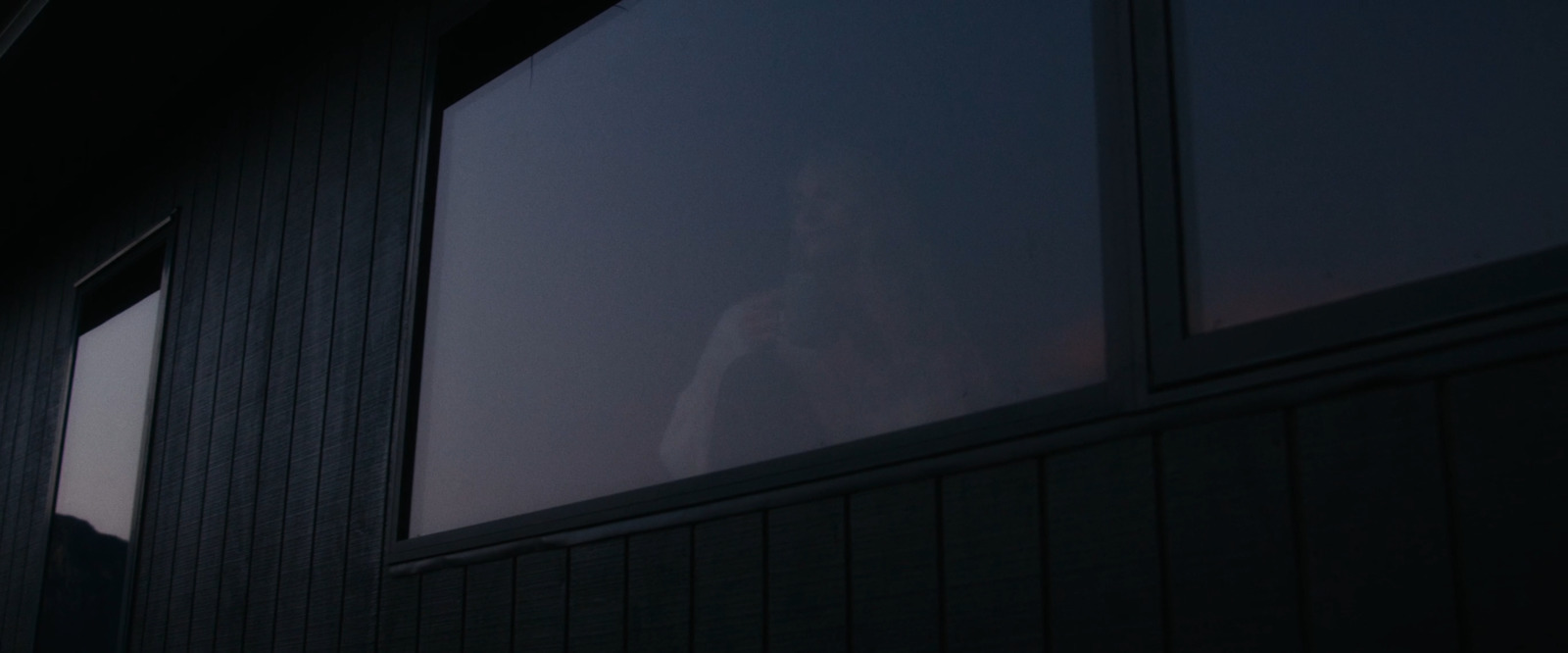 a woman standing outside of a window at night