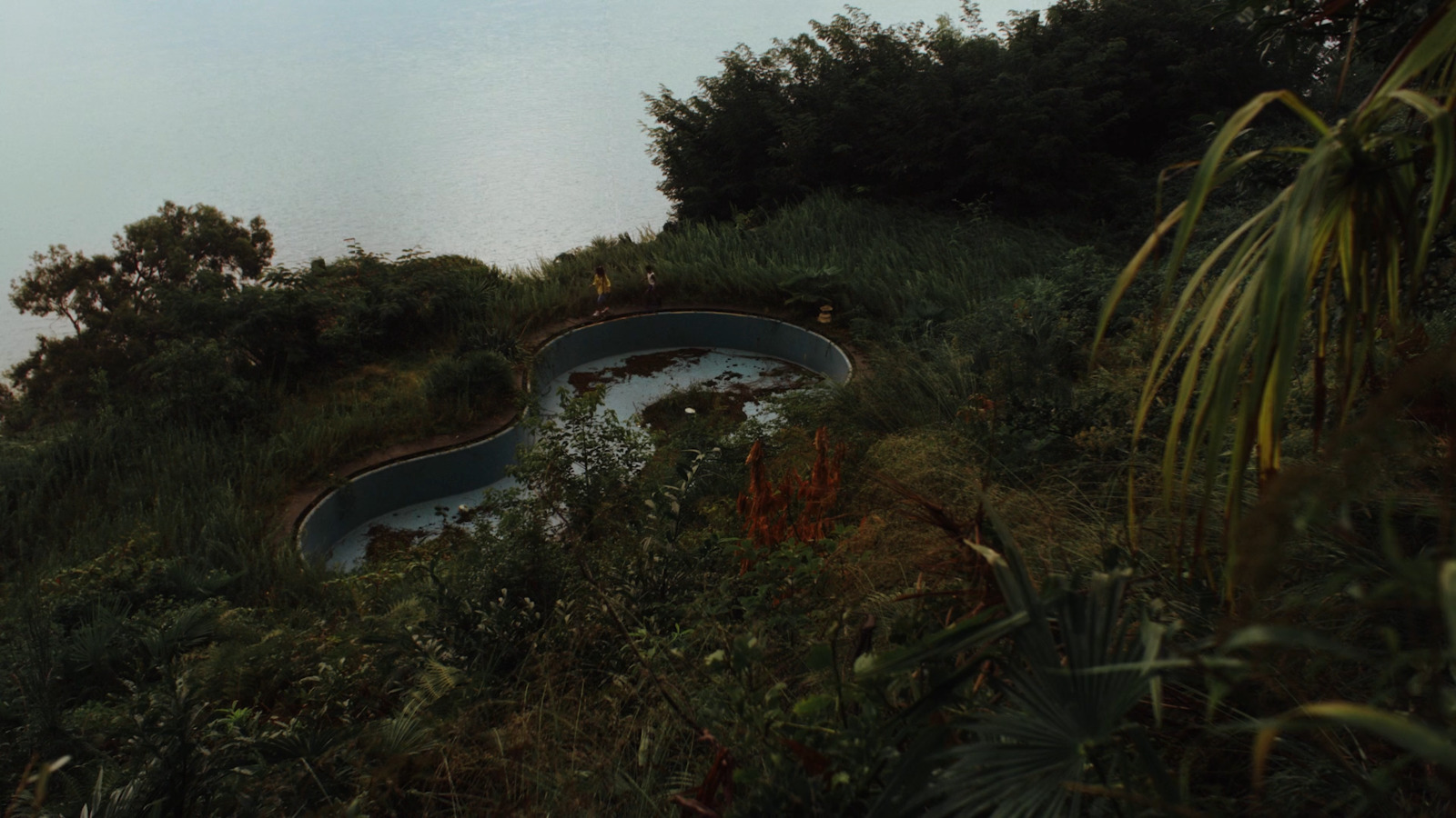 a pool in the middle of a lush green hillside