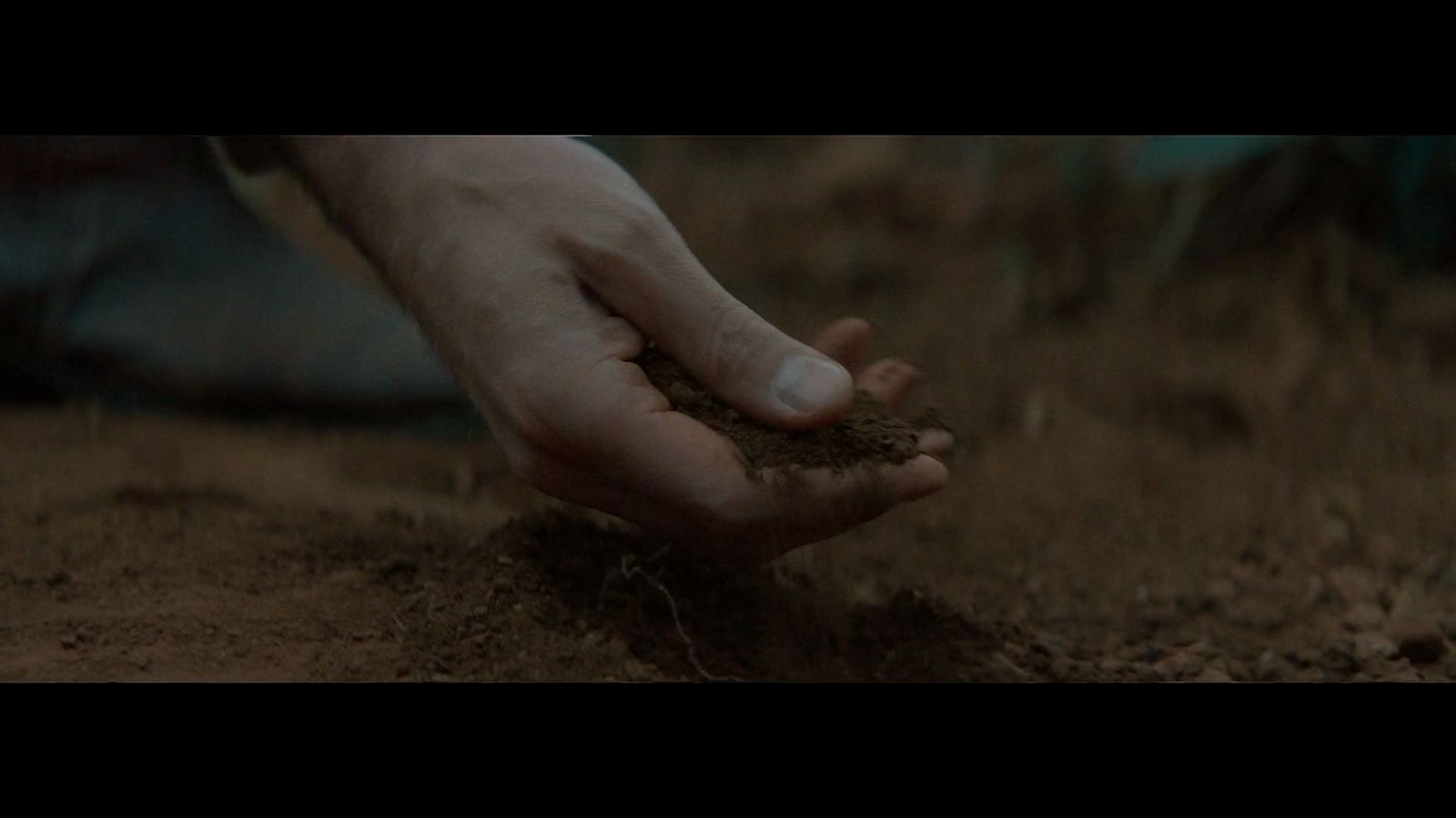 a person holding a handful of dirt in their hand