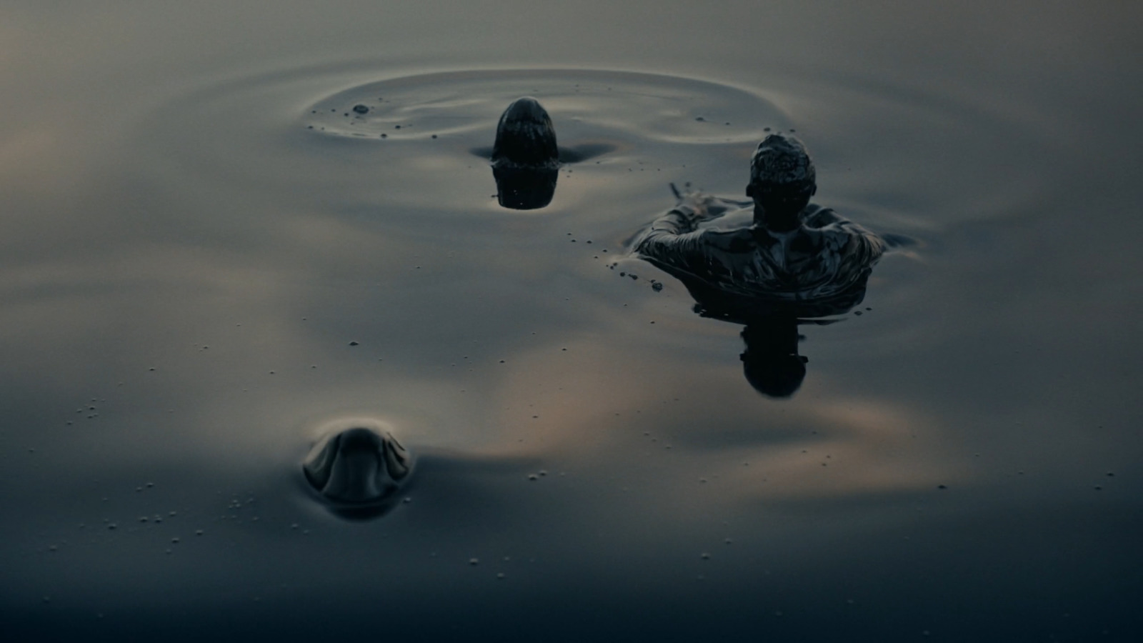 a couple of ducks floating on top of a body of water