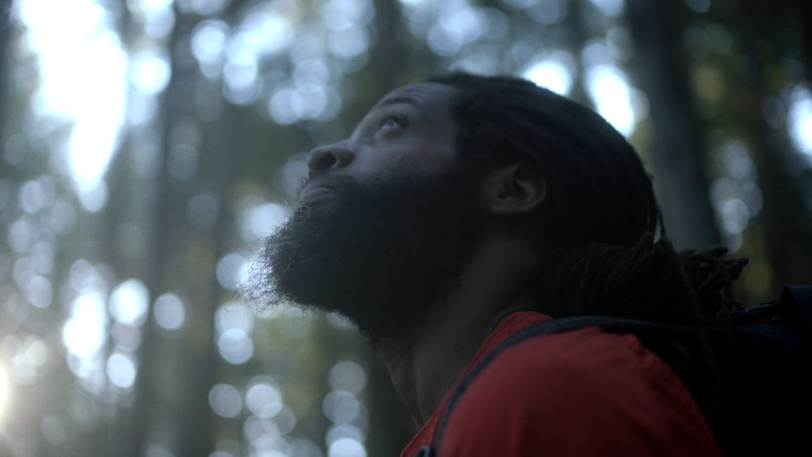 a man with a beard standing in the woods