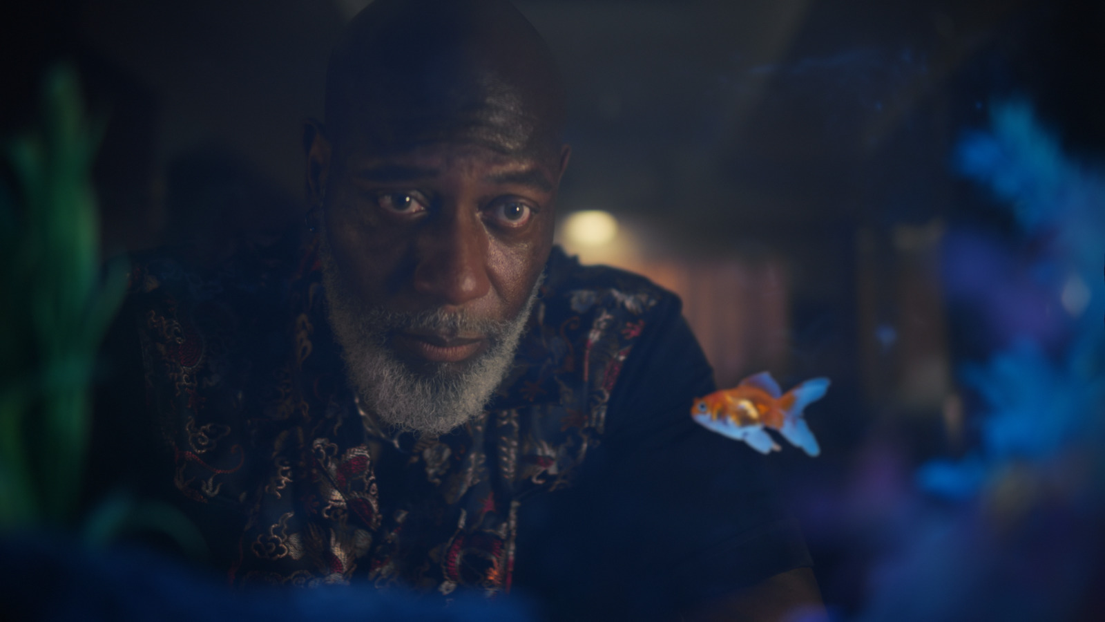 a man looking at a fish in a dark room