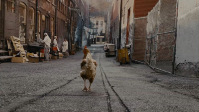 a chicken walking down a street next to a building