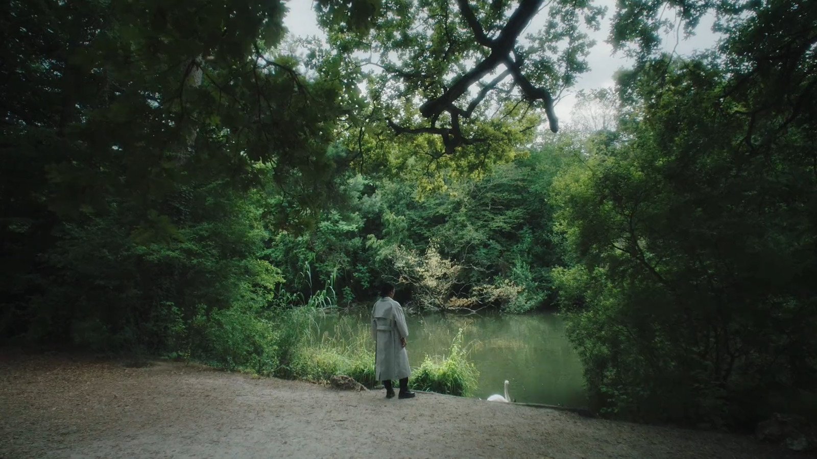 a person standing in front of a body of water