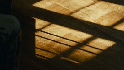 the shadow of a table and a vase on the floor