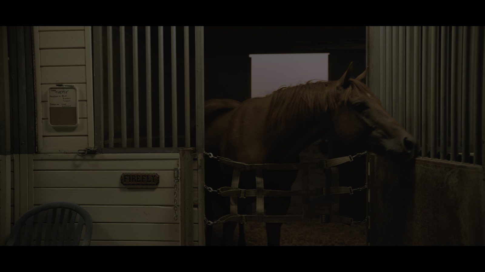 a brown horse standing in a stable next to a door