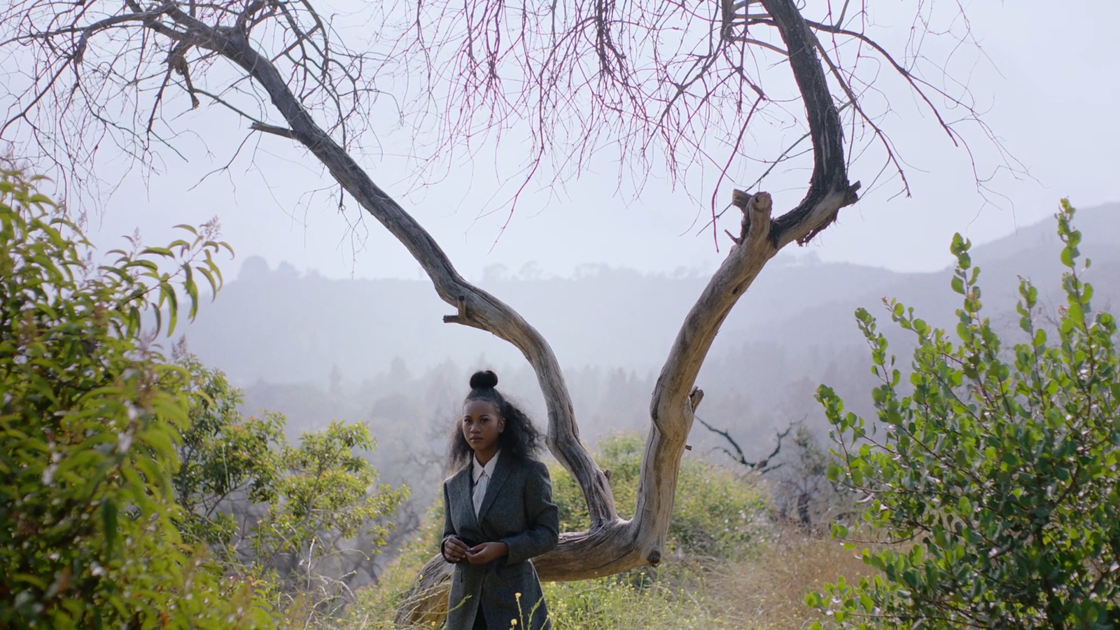 a woman standing in a field next to a tree