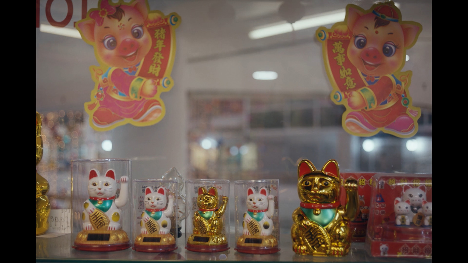 a display case filled with different types of cat figurines