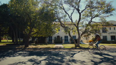 a woman riding a bike down a street next to a tree