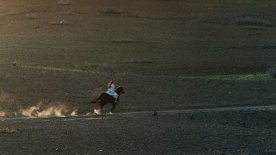 a person riding a horse in a field