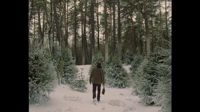 a person walking through a snow covered forest