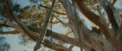 a close up of a rope hanging from a tree