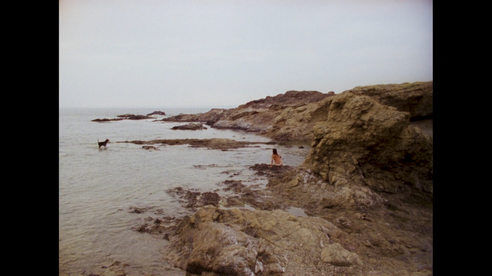 a couple of people standing on top of a rocky beach